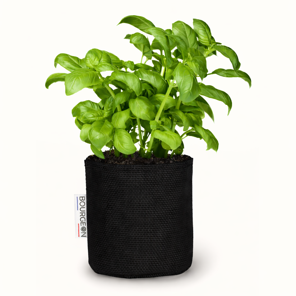 Breathable Geotextile Grow Bag with Saucer