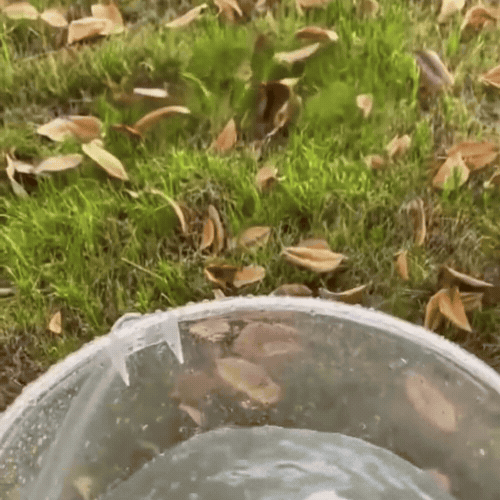 Pompe à Eau Portable avec Tuyau